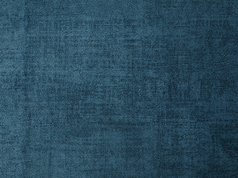 Environmentally friendly Dutch/Holland velvet printed sofa fabric